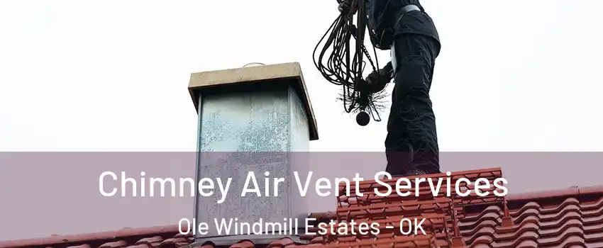 Chimney Air Vent Services Ole Windmill Estates - OK