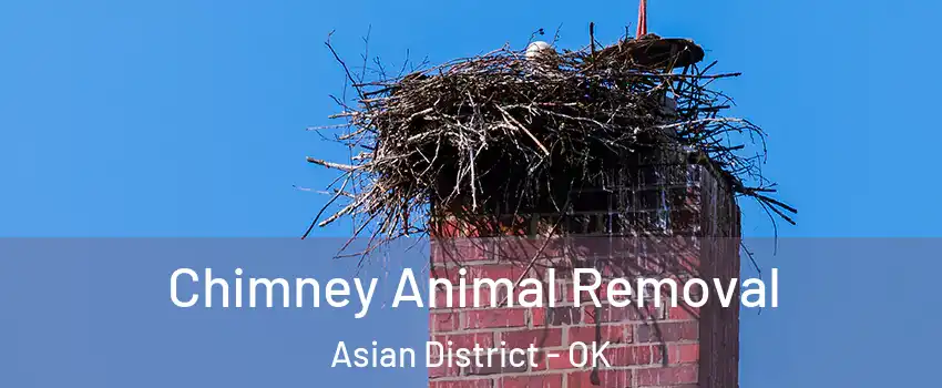 Chimney Animal Removal Asian District - OK