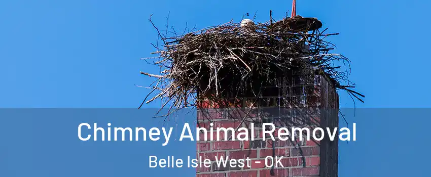 Chimney Animal Removal Belle Isle West - OK