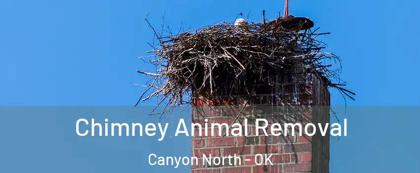 Chimney Animal Removal Canyon North - OK