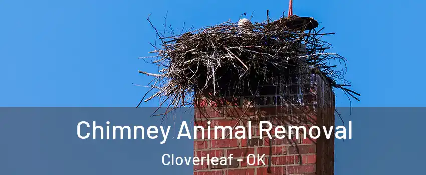 Chimney Animal Removal Cloverleaf - OK