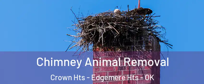 Chimney Animal Removal Crown Hts - Edgemere Hts - OK