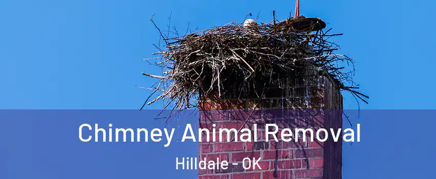 Chimney Animal Removal Hilldale - OK