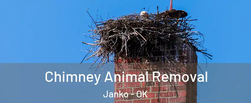 Chimney Animal Removal Janko - OK