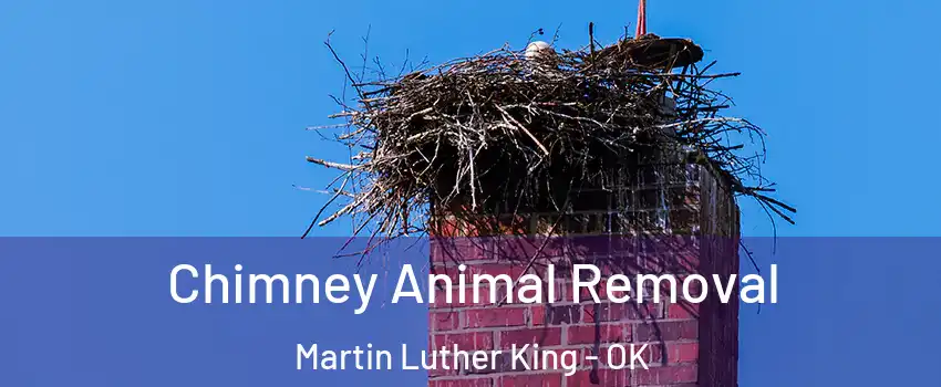 Chimney Animal Removal Martin Luther King - OK