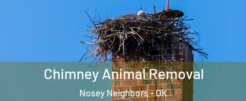 Chimney Animal Removal Nosey Neighbors - OK