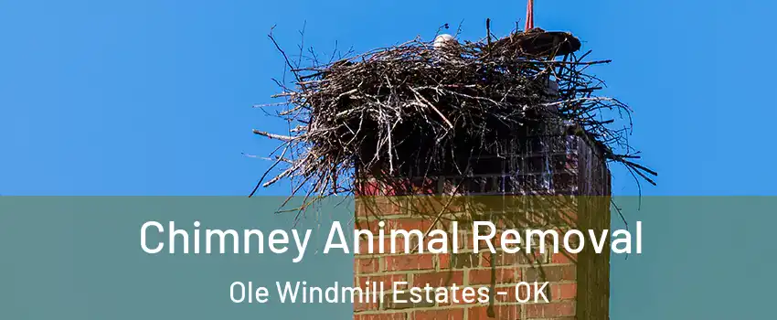 Chimney Animal Removal Ole Windmill Estates - OK