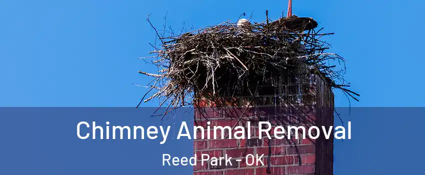 Chimney Animal Removal Reed Park - OK