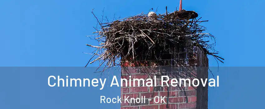 Chimney Animal Removal Rock Knoll - OK