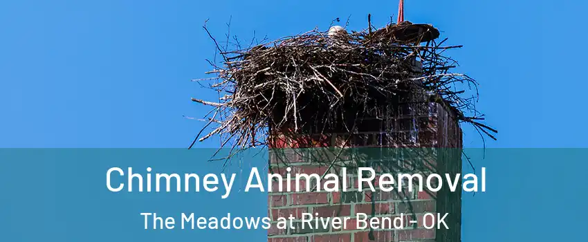 Chimney Animal Removal The Meadows at River Bend - OK