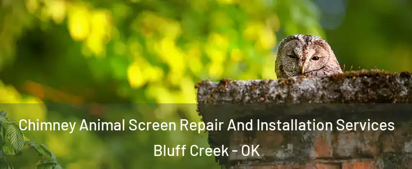 Chimney Animal Screen Repair And Installation Services Bluff Creek - OK