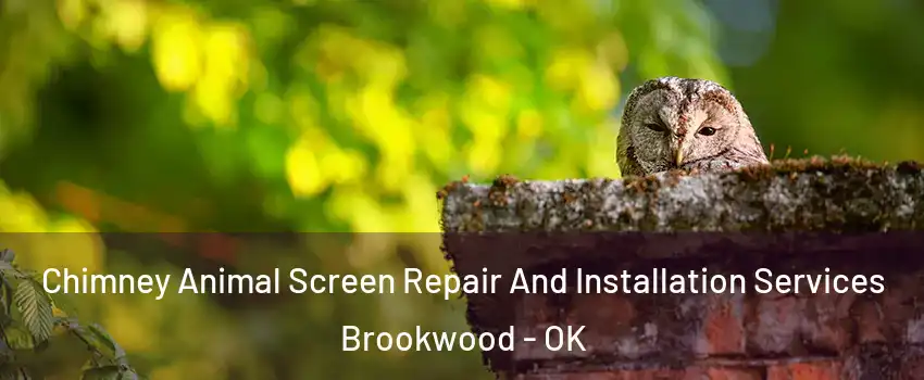 Chimney Animal Screen Repair And Installation Services Brookwood - OK