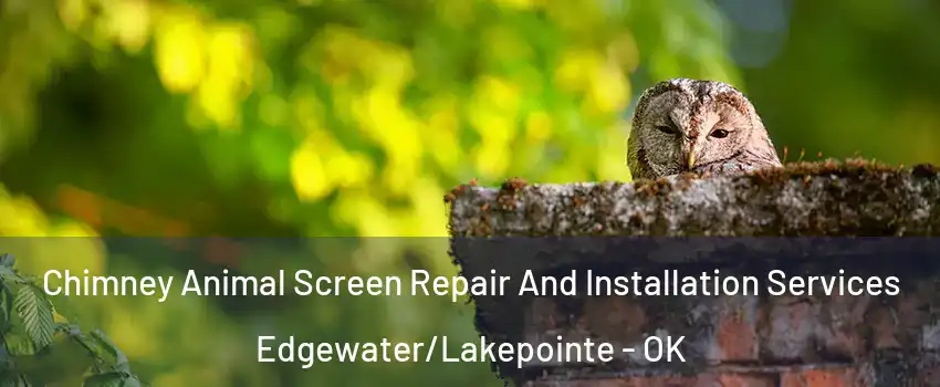 Chimney Animal Screen Repair And Installation Services Edgewater/Lakepointe - OK