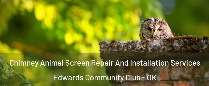 Chimney Animal Screen Repair And Installation Services Edwards Community Club - OK