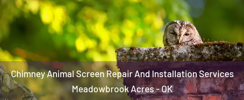 Chimney Animal Screen Repair And Installation Services Meadowbrook Acres - OK