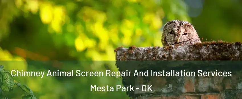 Chimney Animal Screen Repair And Installation Services Mesta Park - OK