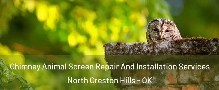 Chimney Animal Screen Repair And Installation Services North Creston Hills - OK