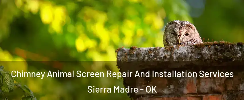 Chimney Animal Screen Repair And Installation Services Sierra Madre - OK