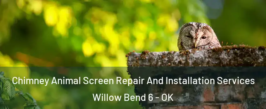 Chimney Animal Screen Repair And Installation Services Willow Bend 6 - OK