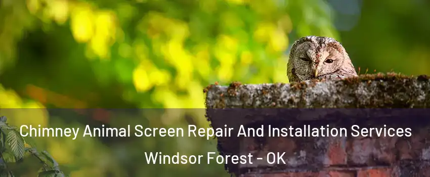 Chimney Animal Screen Repair And Installation Services Windsor Forest - OK