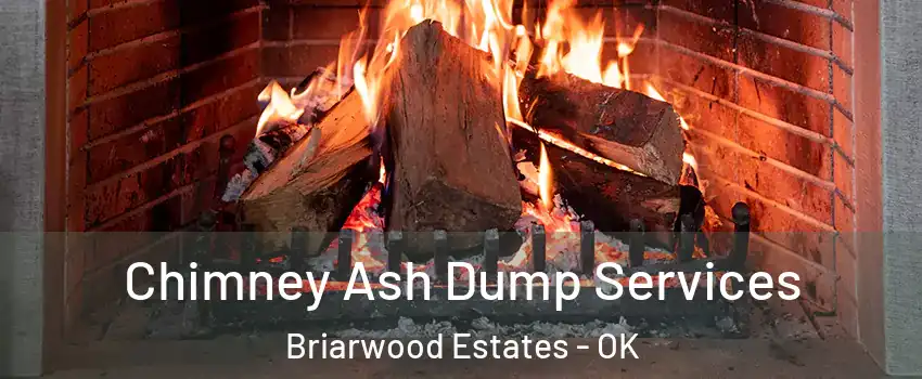 Chimney Ash Dump Services Briarwood Estates - OK