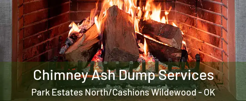 Chimney Ash Dump Services Park Estates North/Cashions Wildewood - OK