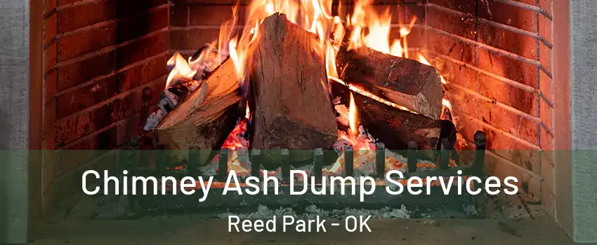 Chimney Ash Dump Services Reed Park - OK