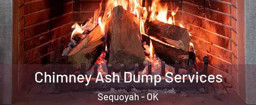 Chimney Ash Dump Services Sequoyah - OK