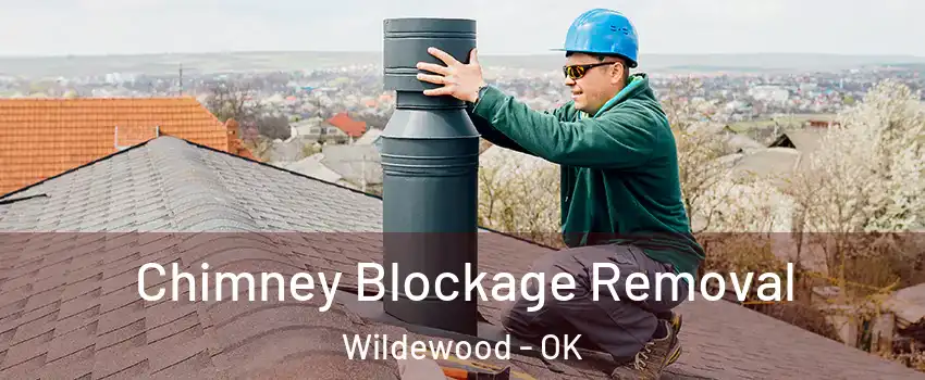 Chimney Blockage Removal Wildewood - OK