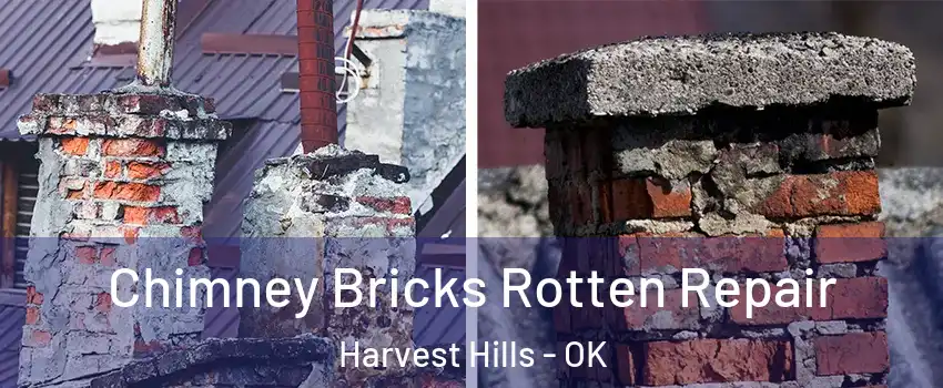 Chimney Bricks Rotten Repair Harvest Hills - OK