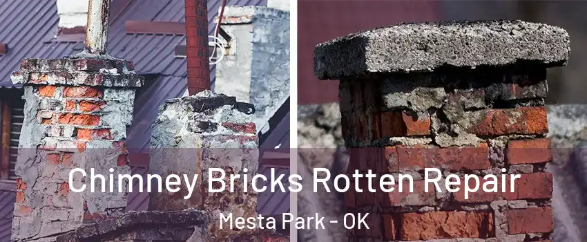 Chimney Bricks Rotten Repair Mesta Park - OK