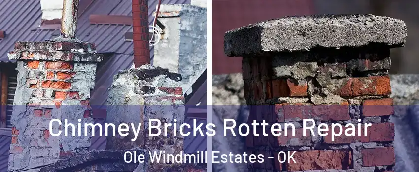 Chimney Bricks Rotten Repair Ole Windmill Estates - OK