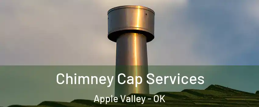 Chimney Cap Services Apple Valley - OK