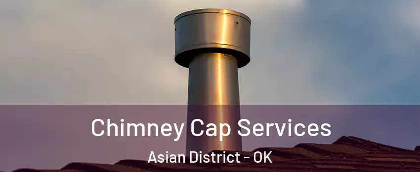 Chimney Cap Services Asian District - OK