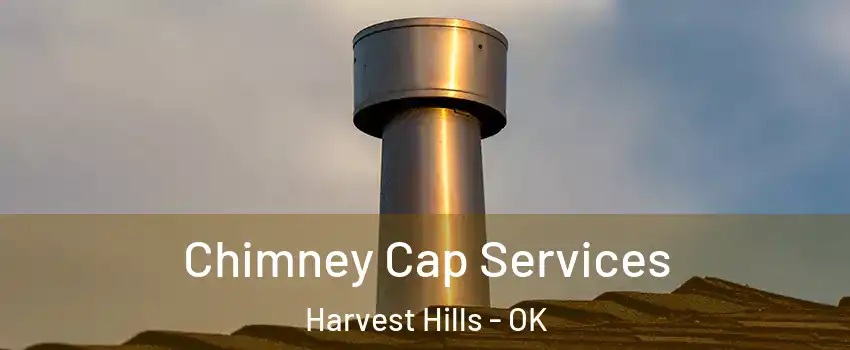 Chimney Cap Services Harvest Hills - OK