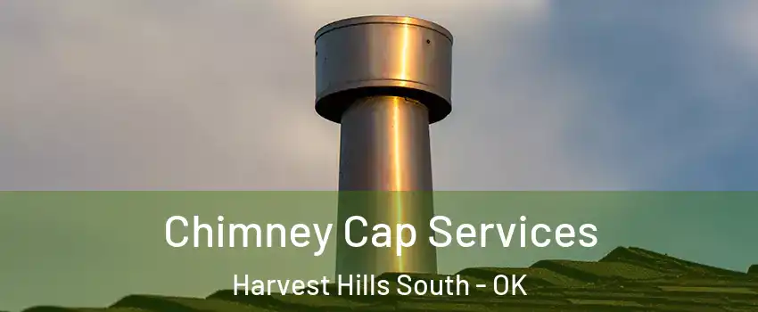 Chimney Cap Services Harvest Hills South - OK