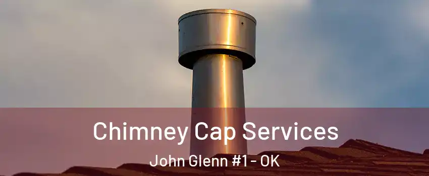 Chimney Cap Services John Glenn #1 - OK