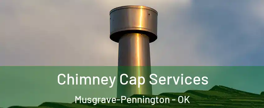 Chimney Cap Services Musgrave-Pennington - OK