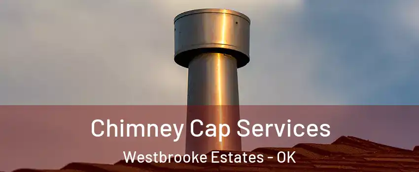 Chimney Cap Services Westbrooke Estates - OK