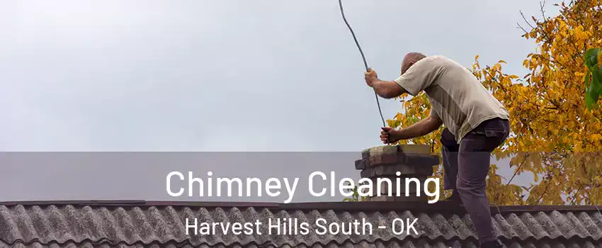 Chimney Cleaning Harvest Hills South - OK