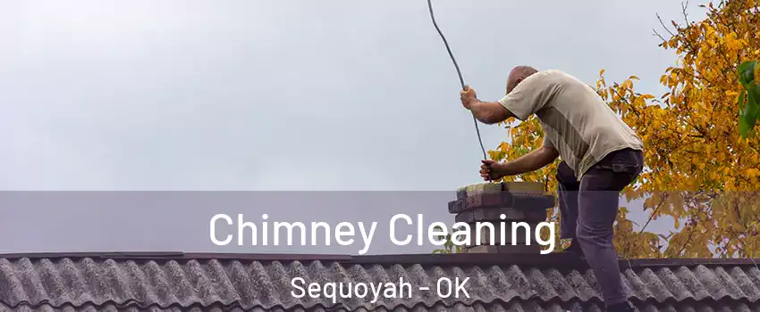 Chimney Cleaning Sequoyah - OK