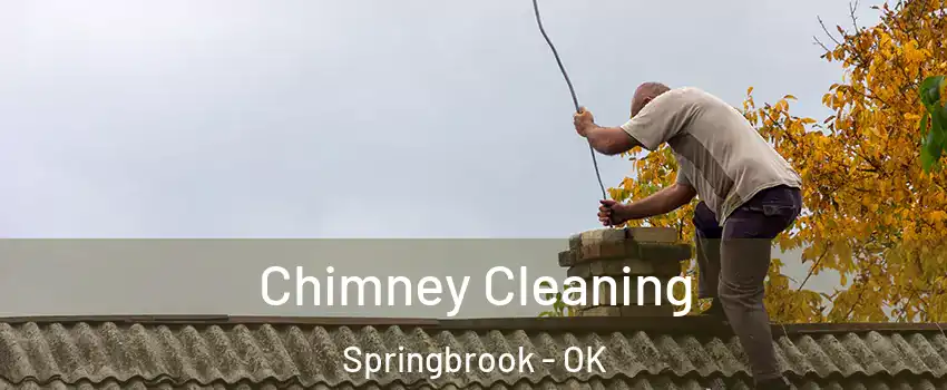 Chimney Cleaning Springbrook - OK