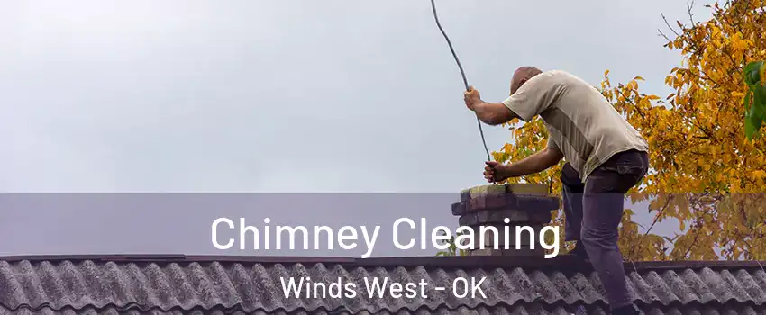 Chimney Cleaning Winds West - OK