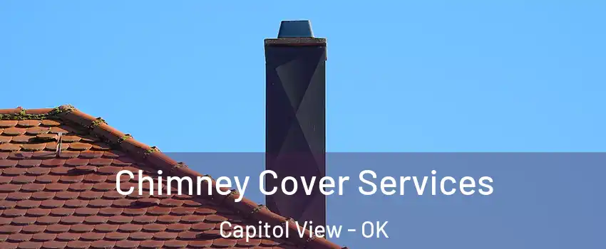 Chimney Cover Services Capitol View - OK