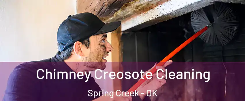 Chimney Creosote Cleaning Spring Creek - OK