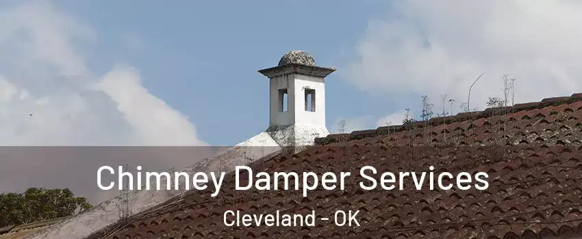 Chimney Damper Services Cleveland - OK