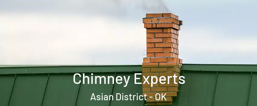 Chimney Experts Asian District - OK