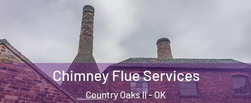 Chimney Flue Services Country Oaks II - OK