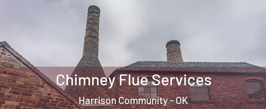 Chimney Flue Services Harrison Community - OK