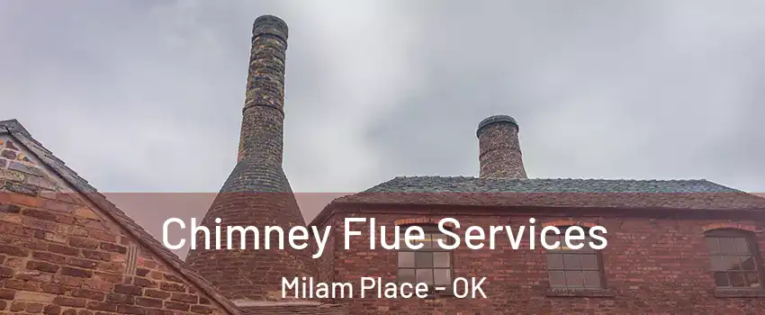 Chimney Flue Services Milam Place - OK